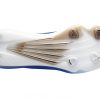 adidas Lightstrike Baseball Cleats Ultra Light-3